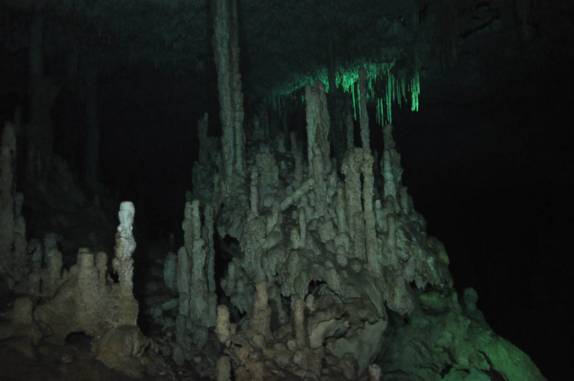 Algumas das belas formações no Gran Cenote, na região de Tulum, no Yucatán, sul do México (foto de Luis Leal)